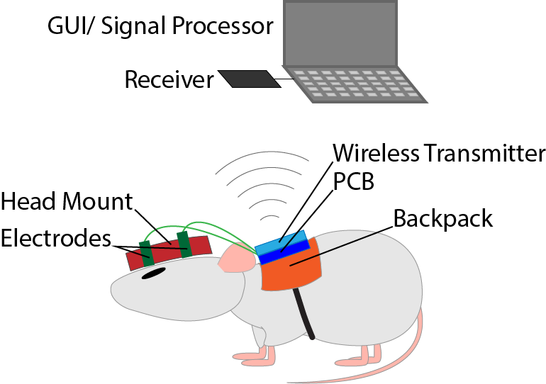 NeuroRat design schematic